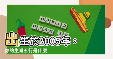 2005年生肖五行